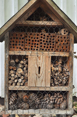 Altes Insektenhotel