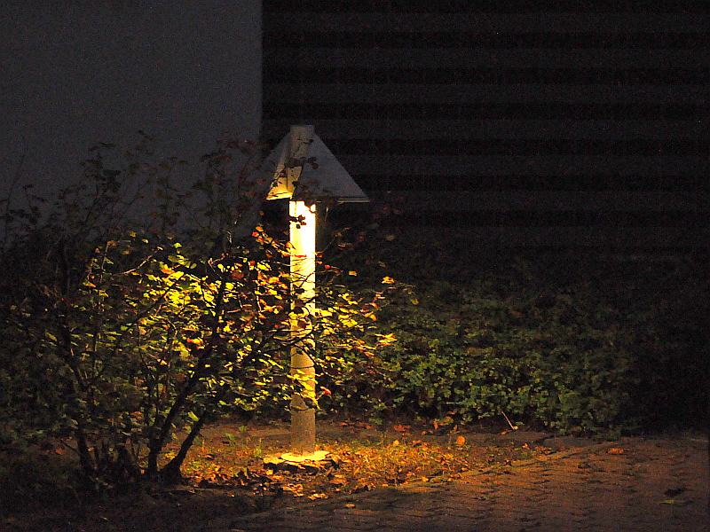 Gartenlampe, die bei Dunkelheit den Weg zum Haus beleuchtet